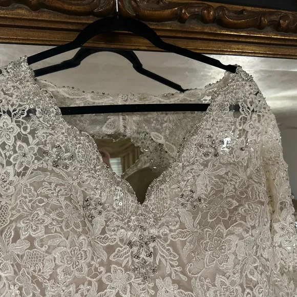 Elegant Lace Wedding Dress - Picture 5 of 10